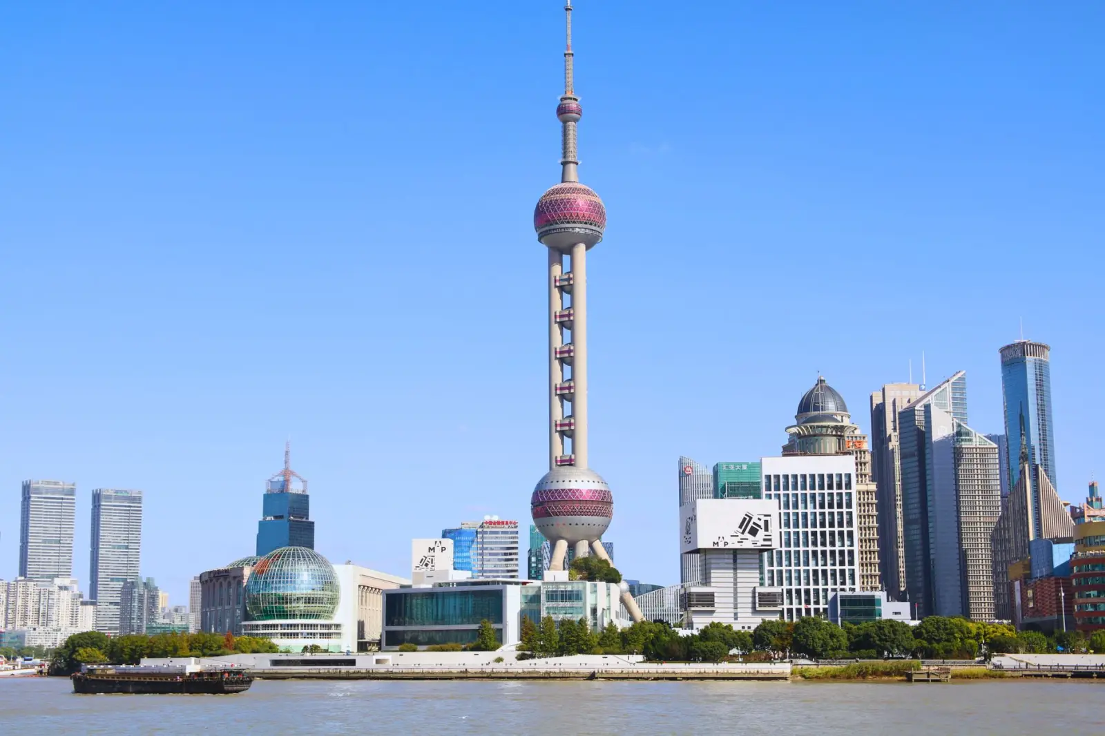 植发手术与毛发再生技术演进:从FUE到毛囊体外激活的临床应用对比正文配图 2