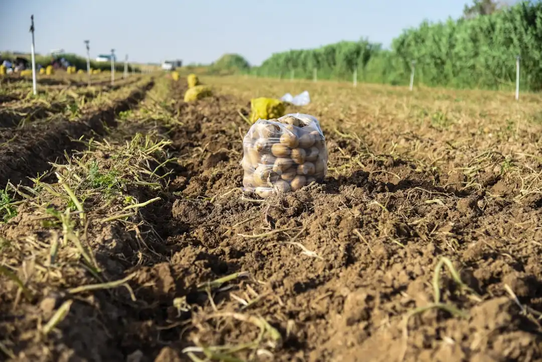 植发手术前需要做哪些头皮检测项目?科发源诊疗流程解析